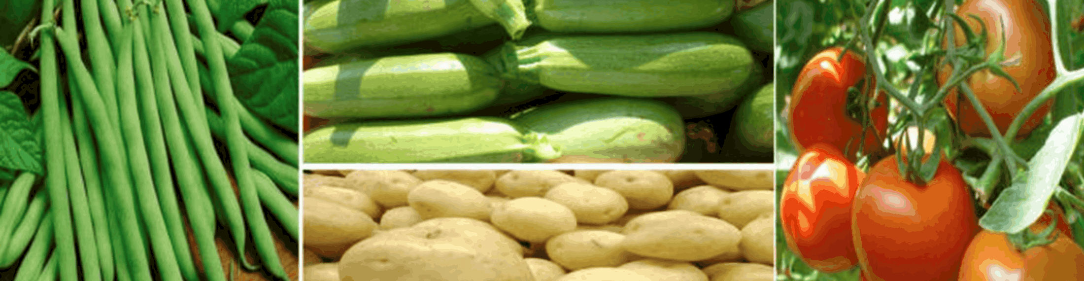 Agriculture.png